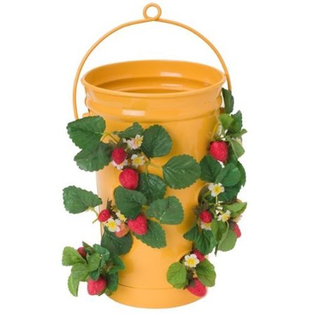 NEXT2NATURE Enameled Galvanized Strawberry & Flower Planter, Saffron NE2588634